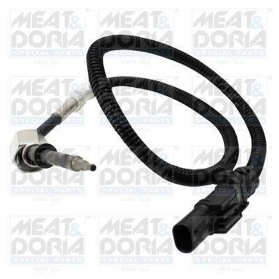 Sensor, exhaust gas temperature